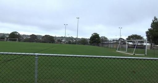 Everything is so green & Wolf inspects the football pitch...