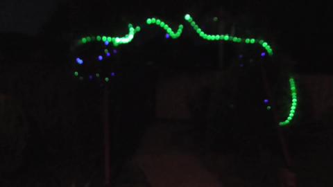 Husky's have Christmas lights