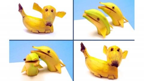 How to Make a Dog and a Dolphin with a Banana / Fun Garni...