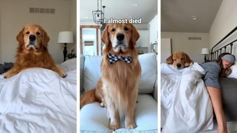 The Day I Almost Died!