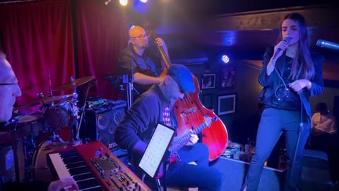 Daria Stefan & The Fat Cats - All of Me