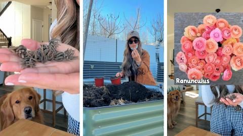 Spiders Grow into Flowers?!!