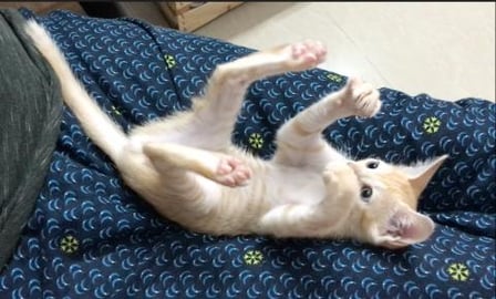 Tedy & Gify lovely flight || must watch !!!!!!!