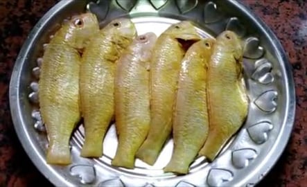 INDIAN FISH CURRY WITH MILLET BALL || BY BB CHEF