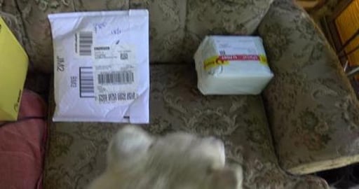 We got packages for my Birthday