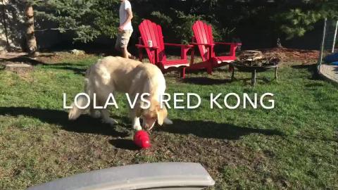 Lola vs the Red Kong 