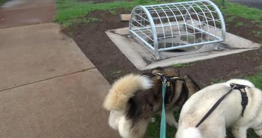 Enjoying the cooler weather with a walk along West Creek