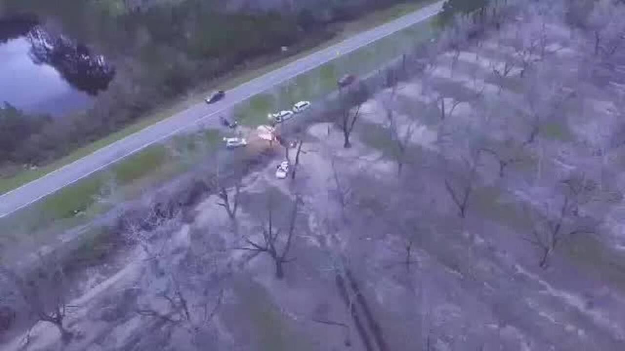 Search for Tara Grinstead's body in pecan grove Macon Telegraph