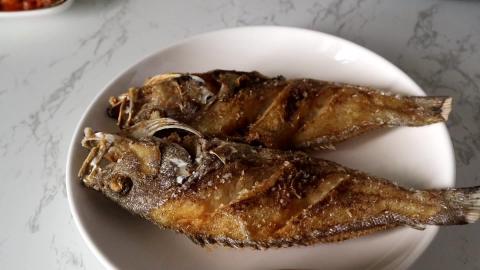 TasteHU252 _ Sweet & Sour Lapu Lapu