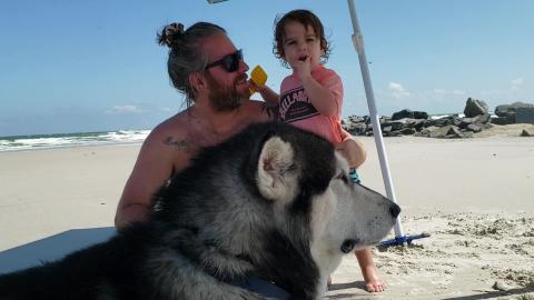 My Dogs Making Friends At The Beach 