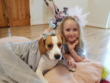 Cute Dogs Meet Owners After Long Time