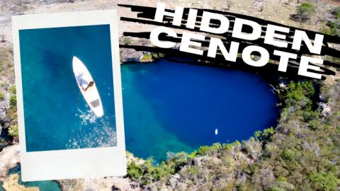 Cenote - A Hidden Gem in Chiapas - DJI Drone GoProMax 360...