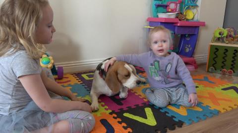 Cute Dogs and Babies Were Made for Each Other