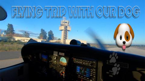 Flying Trip with our Dog