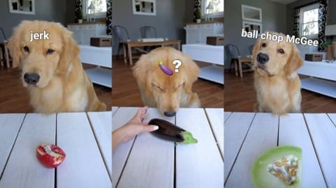 ASMR Taste Test Gone Wrong!