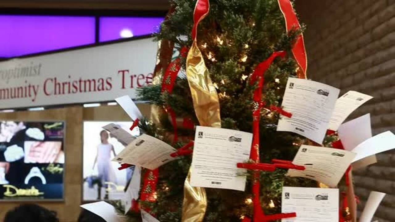 What is the Soroptimist Christmas Tree? Kansas City Star