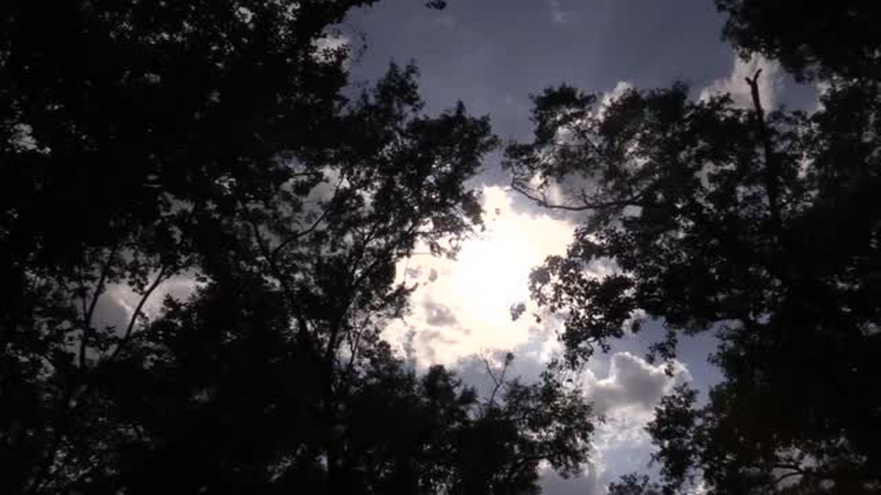 Will we be able to see the eclipse in all its glory from Hilton Head or