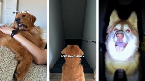 This is why you lock the doors...and change the sheets