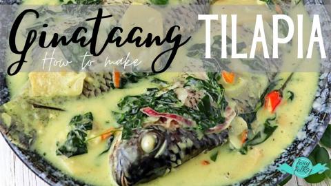 GINATAANG TILAPIA (TILAPIA IN SPICY COCONUT MILK)