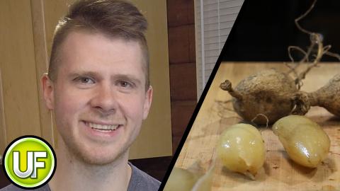 Dahlias Taste Test - Unusual Foods