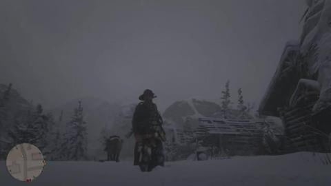 _Easy_ Solo Unlimited Money Glitch in Red Dead Online