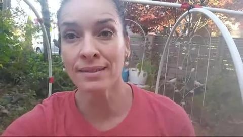 Preparing The Hoop House For Winter Gardening With Kimber...