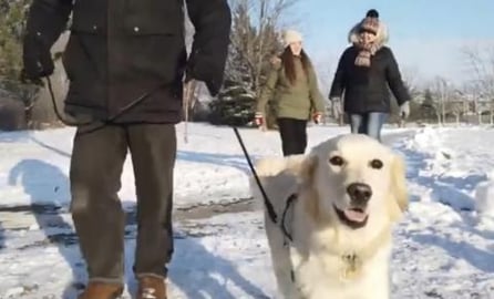 Winter walk with Lola along the frozen river 