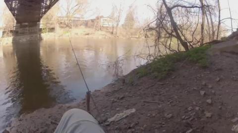 Not Today little Birdie, Fishing Show ep.3 Season 2