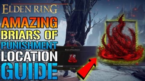 Elden Ring: AMAZING! Briars Of Punishment! Can IMPALE Ene...