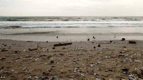 Just Another Day in Paradise - The Reality of What's in O...