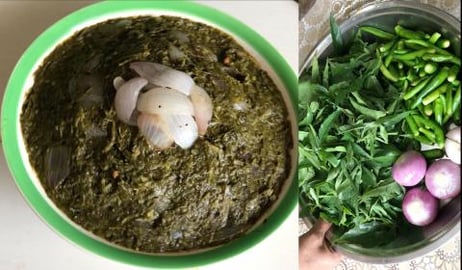 ROSELLE SALSA || BY BB CHEF