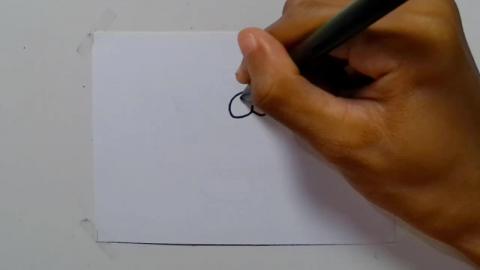 Drawing Graffiti bear surf cartoon shorts