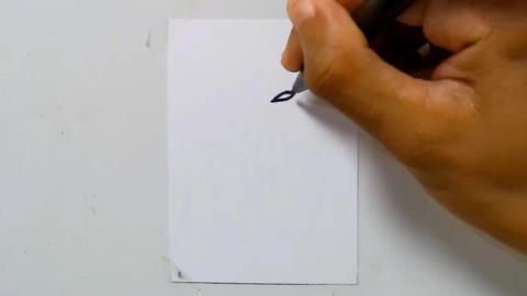 Drawing tatto v194 2025 shorts