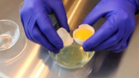 How to Separate an Egg |  It's Only Food with Chef John P...