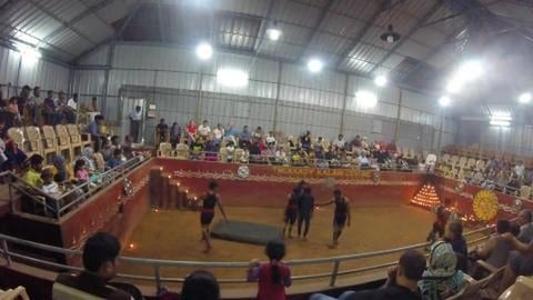 Kalaripayattu #7 | Ancient Martial Art of Kerala