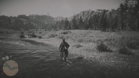 Red Dead Online Gameplay jk