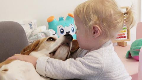 Baby Wakes Up Dogs In The Cutest Way Possible