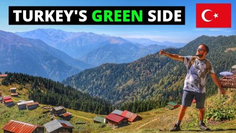 DID YOU KNOW TURKEY HAS A GREEN SIDE? RIZE TOUR - POKUT Y...