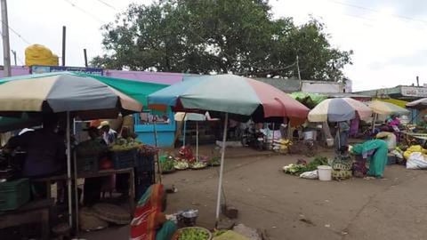 Fruits & Vegetables Market | Badami