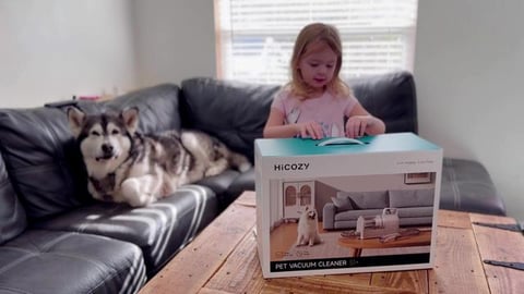 If You Have A Dog You Need This Vacuum Groomer