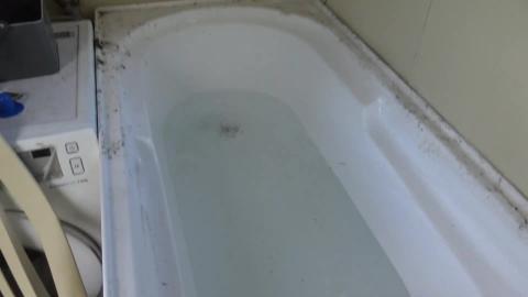 Malamute bath and a surprise ending