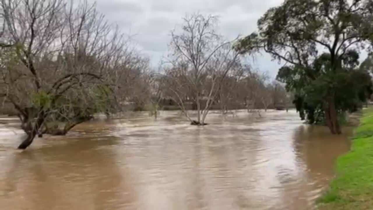 Merced's Bear Creek overflows Merced SunStar