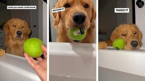 When I Try to Take a Bath...