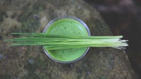 WHEATGRASS JUICE || ITS REALLY MIRACLE ... WATCH FULL VID...