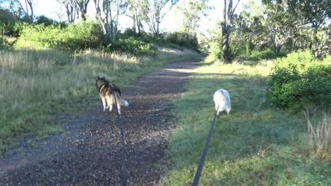 Big hike at Mount Peel Bushland Reserve