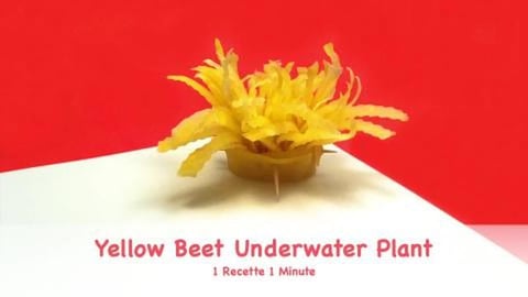Yellow Beet Underwater Plant / Vegetable Garnish (shorts)...