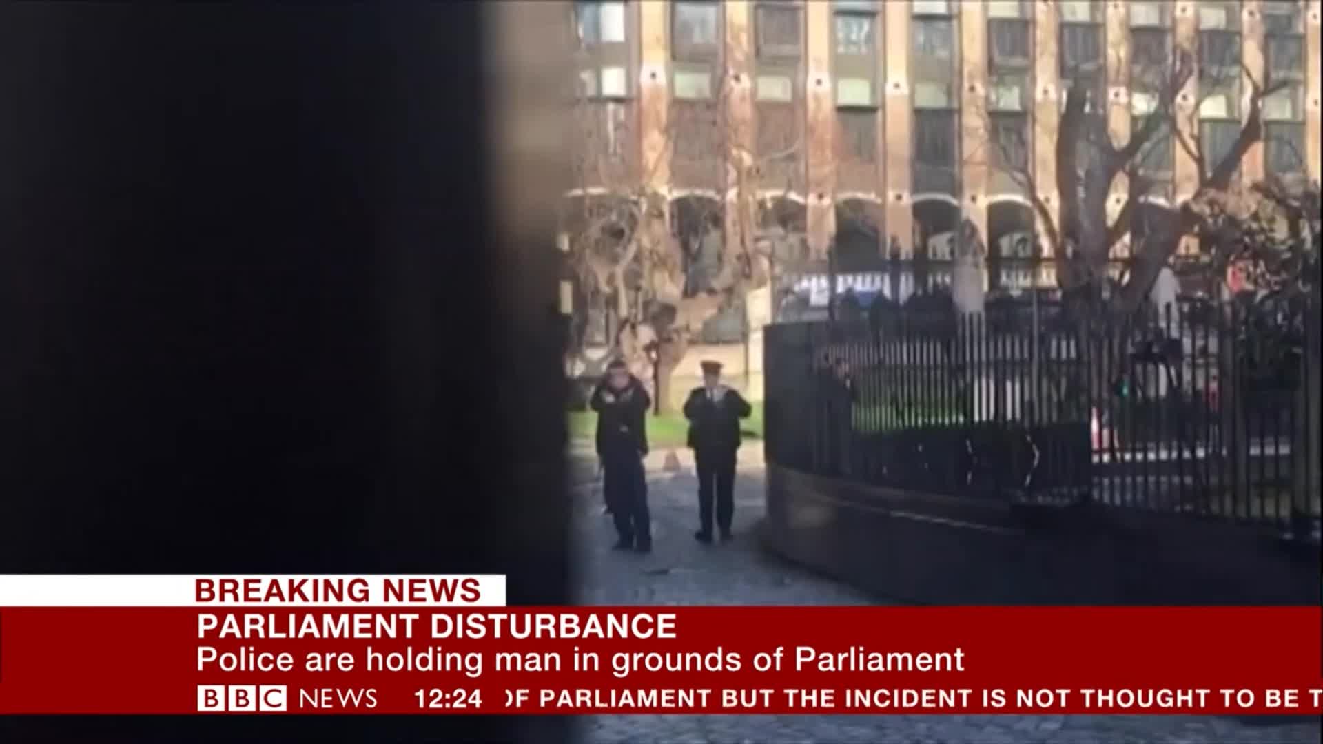 Man Tasered By Police At Gates Of Parliament | HuffPost UK News