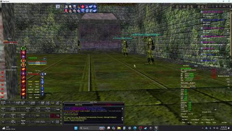 Everquest : A Brokenskull Prophet