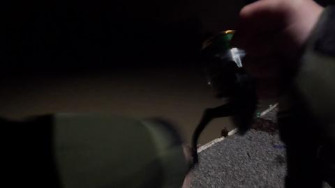 Fishing Clips 391