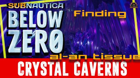 Finding Al-An ORGANS and the Crystal Caves Subnautica Bel...